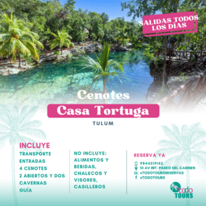 Tour Cenote Casa Tortuga